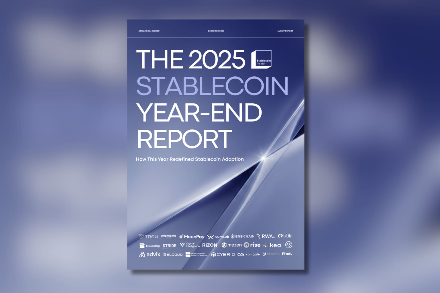 2025年ステーブルコインの金融インフラ化・報告書