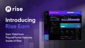 Rise、Aave Vaultでグローバル企業・チーム向けステーブルコイン利回り開始